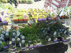 383529_510835465637942_812370151_n