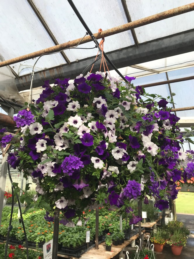 0EFF1209-F8A7-4026-ACF1-2C7E71C254D3