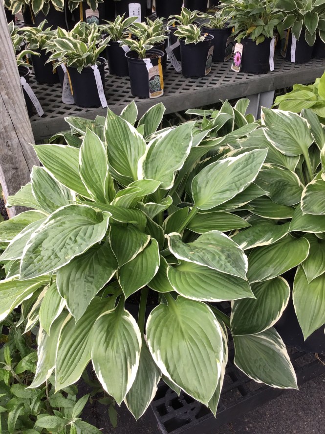 D42A9D5F-43DA-43EE-B047-6C2CBFF63DD5